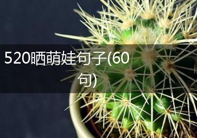 520晒萌娃句子(60句)