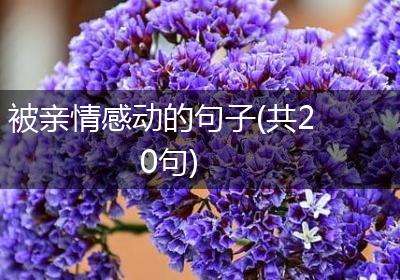 被亲情感动的句子(共20句)