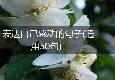 表达自己感动的句子(通用50句)