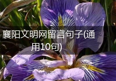 襄阳文明网留言句子(通用10句)