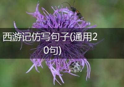 西游记仿写句子(通用20句)