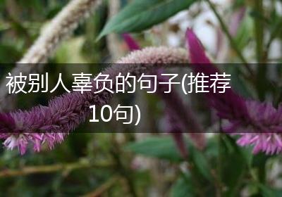 被别人辜负的句子(推荐10句)