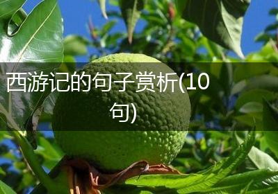 西游记的句子赏析(10句)