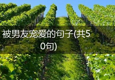被男友宠爱的句子(共50句)