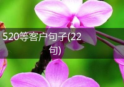 520等客户句子(22句)