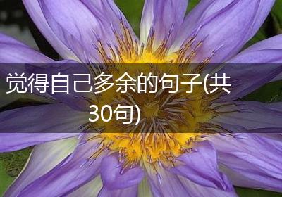 觉得自己多余的句子(共30句)