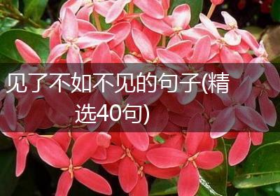 见了不如不见的句子(精选40句)