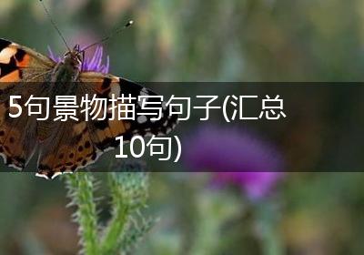 5句景物描写句子(汇总10句)