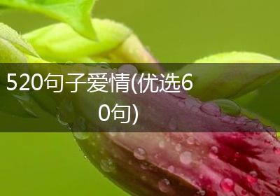 520句子爱情(优选60句)