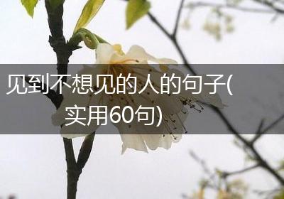见到不想见的人的句子(实用60句)