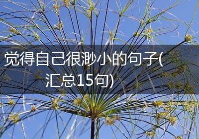 觉得自己很渺小的句子(汇总15句)