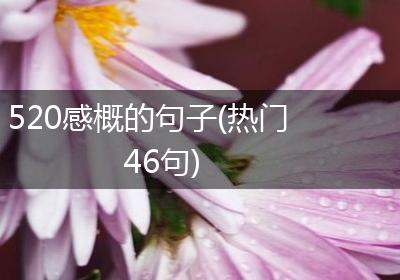 520感概的句子(热门46句)