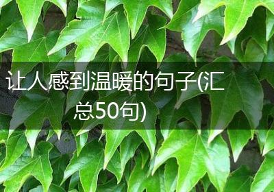 让人感到温暖的句子(汇总50句)