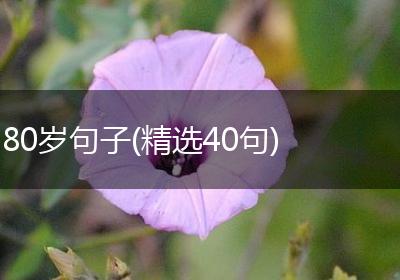 80岁句子(精选40句)