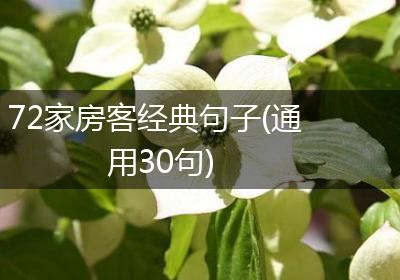 72家房客经典句子(通用30句)