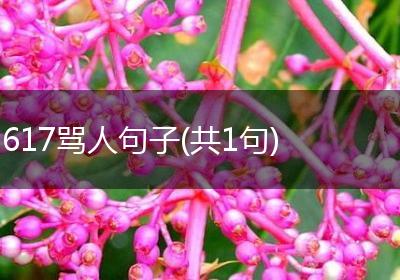 617骂人句子(共1句)
