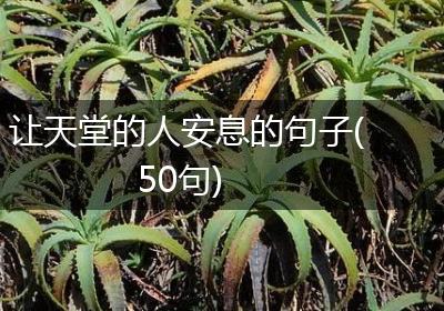 让天堂的人安息的句子(50句)