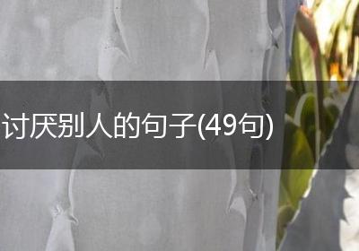 讨厌别人的句子(49句)