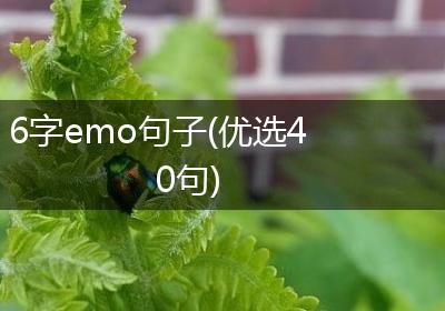 6字emo句子(优选40句)