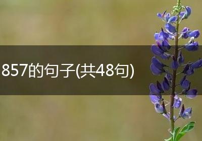857的句子(共48句)