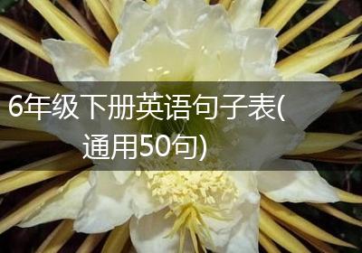 6年级下册英语句子表(通用50句)