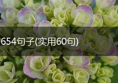 654句子(实用60句)