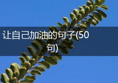 让自己加油的句子(50句)
