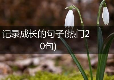 记录成长的句子(热门20句)