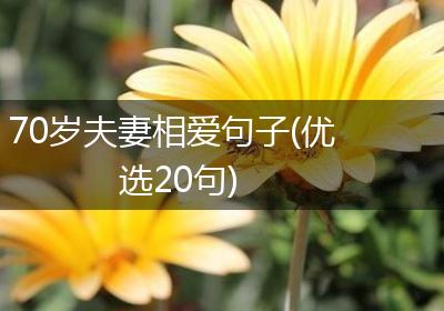 70岁夫妻相爱句子(优选20句)