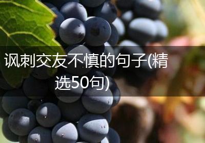 讽刺交友不慎的句子(精选50句)