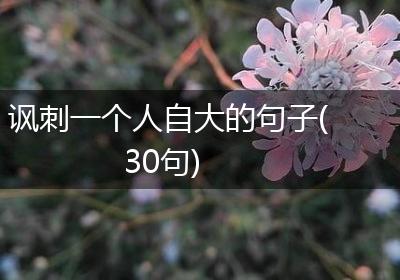 讽刺一个人自大的句子(30句)