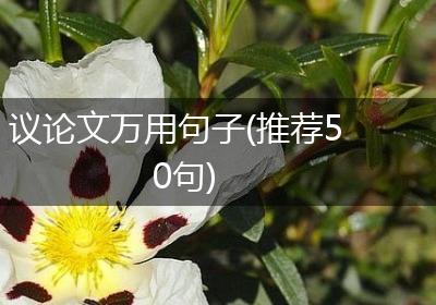 议论文万用句子(推荐50句)