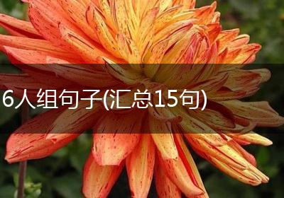 6人组句子(汇总15句)