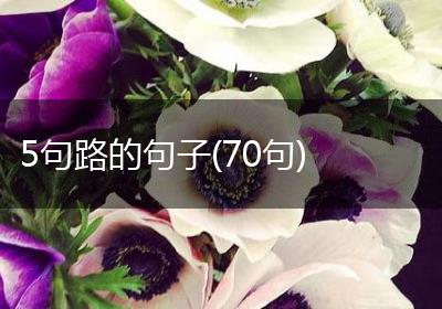 5句路的句子(70句)
