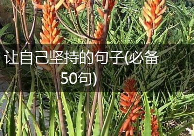 让自己坚持的句子(必备50句)