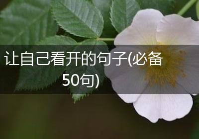 让自己看开的句子(必备50句)