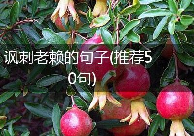 讽刺老赖的句子(推荐50句)