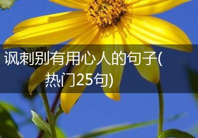 讽刺别有用心人的句子(热门25句)