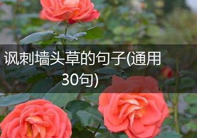 讽刺墙头草的句子(通用30句)