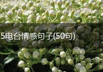 5电台情感句子(50句)