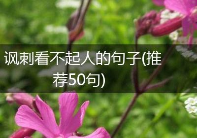 讽刺看不起人的句子(推荐50句)