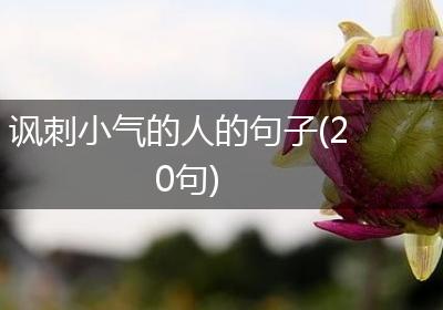 讽刺小气的人的句子(20句)