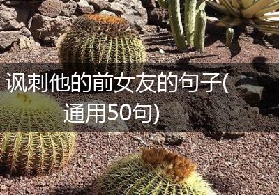 讽刺他的前女友的句子(通用50句)