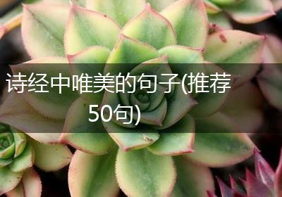 诗经中唯美的句子(推荐50句)