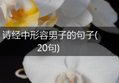 诗经中形容男子的句子(20句)