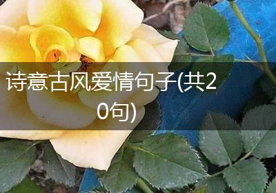 诗意古风爱情句子(共20句)