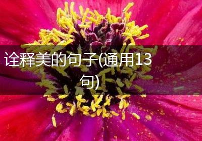 诠释美的句子(通用13句)