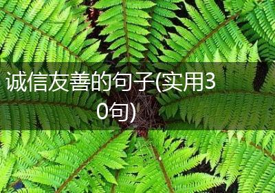诚信友善的句子(实用30句)
