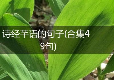 诗经芊语的句子(合集49句)