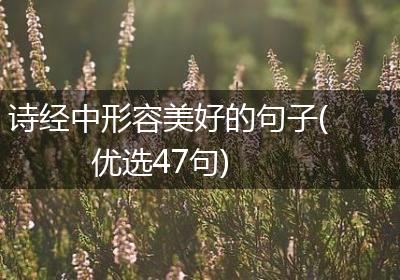 诗经中形容美好的句子(优选47句)